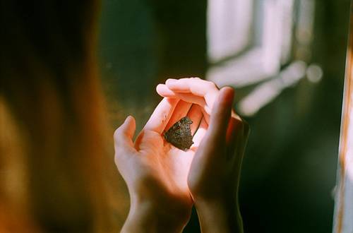 對豁達人生的最好報答 對豁達人生的最好報答